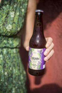 Curumim Kombucha de Uva, gengibre, cravo e canela