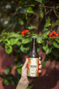 Curumim Kombucha de Frutas Vermelhas com hibisco
