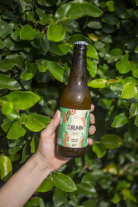 Curumim Kombucha de Maçã com limão e cardamomo