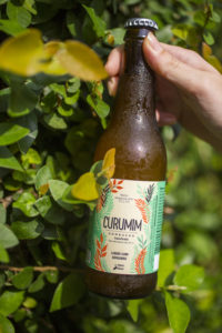 Curumim Kombucha de Limão com Gengibre
