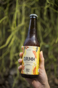 Curumim Kombucha de Maracujá com hibisco e gengibre