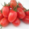 Tomate Grape (200g) Orgânico - Manacá