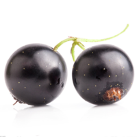 Jabuticaba Orgânico (500g) - Manacá